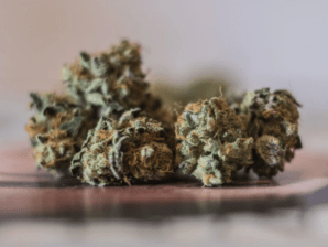 weed