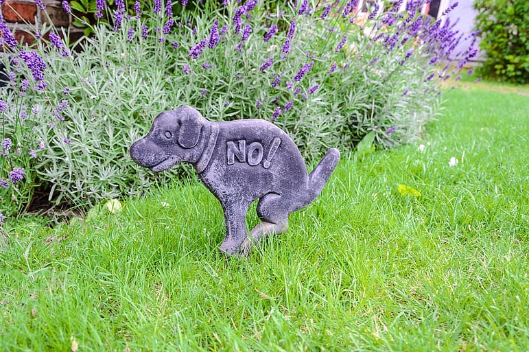 landscaping services